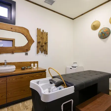 Hunza Longevity فندق