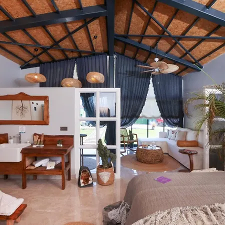 Hunza Longevity فندق *